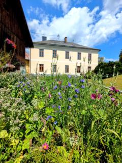 Charming Stay in sunny Diex Village - Diex - 4
