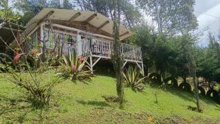 Linda Vista Los Pinos Cabaña - Rionegro - 9