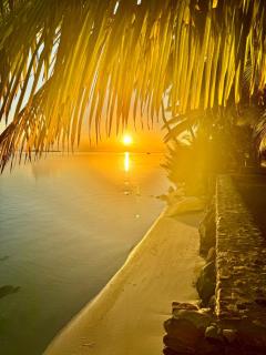 GAIA BEACH AND LAGOON - At Tiahura place - Haapiti - 8