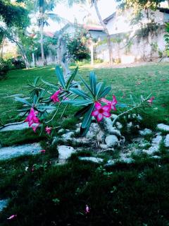 Casa do Pancho Villa - 8