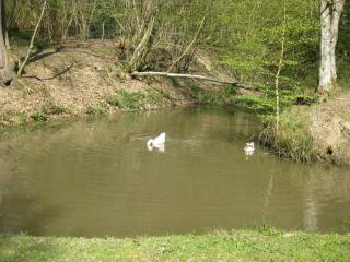 Nightingale Barn - Stunning & Huge - 1