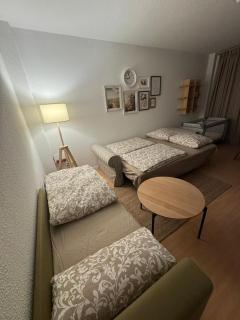 Sächsische Siesta Apartment - Sebnitz - 9
