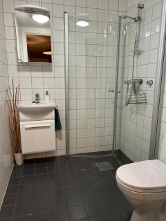 139m2, 5 bedrooms, 2 baths, with sauna, ski in out - Kongsberg - 4