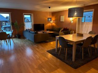 139m2, 5 bedrooms, 2 baths, with sauna, ski in out - Kongsberg - 1