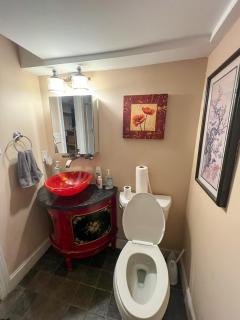 Charming 1-bedroom Basement Close to DC Pets Allowed - Arlington - 1