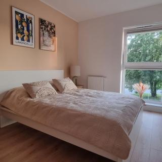 Apartament Sucha Gdańsk Blisko Plaży, Polsat Plus Arena, Parking Podziemny - 6