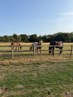 The Chiltern way getaway - 1