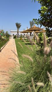 Appartement avec jardin route Saïdia - Berkane - 8