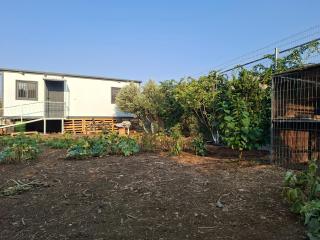 Olive tiny house - Tuval - 5