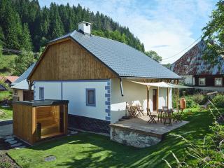 Chalupa pri Donovaloch so saunou - 0