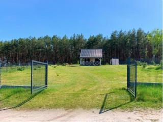 Domek Pod Sosnami - Bronków - 6