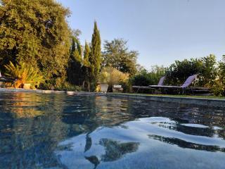 B&B Romantico Palazzo dei Ulivi - Purasca - 9