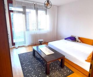 Newly built bright apartment - Sarajevo - 3