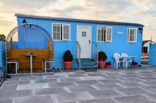 Shepard's Delight - 5