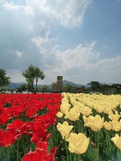 Entire House near Cheomseongdae, Great location - Gyeongju - 2