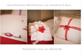 Ma Place au Soleil-le Diamant, Piscine, Vue Mer, Terrasse, Clim, Wifi - 1