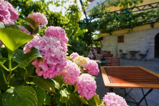 Palorto Traditional Hotel - 5