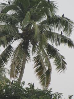 Backwater Breeze - 9