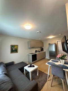 New and bright studio near Kristiansand Zoo and Kjevik airport - Kristiansand - 3