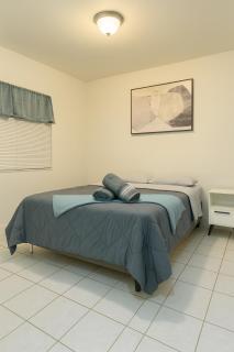 Safari Wynwood - Miami - 2