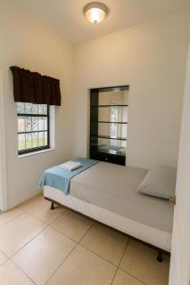 Safari Wynwood - Miami - 1