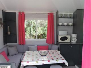 Mobil-home cosy 2 chambres en Provence - API-1-52-437 - 9