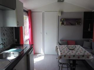 Mobil-home cosy 2 chambres en Provence - API-1-52-437 - 8