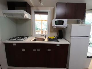 Mobil-home confortable avec terrasse, 3 chambres pour 6 personnes - API-1-52-752 - Sireuil - 9
