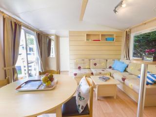 Mobil-home confortable avec terrasse et cuisine équipée - API-1-52-743 - 0