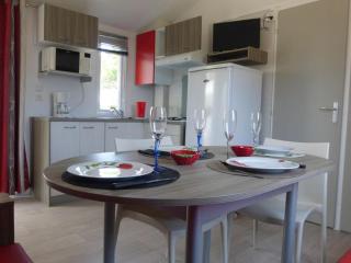 Mobil-home pour 5 pers, moderne avec terrasse - API-1-52-699 - 9