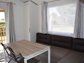 Mobil home 4 pers, terrasse, cuisine équipée - API-1-52-409 - Crissé - 9