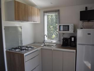 Mobil home 4 pers, terrasse, cuisine équipée - API-1-52-409 - 8