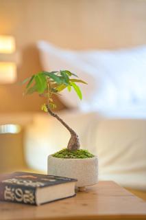 SeaView 1BR Apartment at Karon Beach - 2