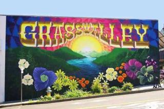 The Gold heart of Grass Valley w outdoor bathtub - 8