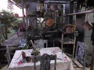 Rootscamp - Surinam - 3