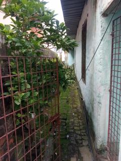 Peaceful Farm house - 4