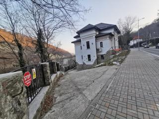 Bujorul Oltului - 4