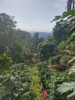 Deni's Place - 1