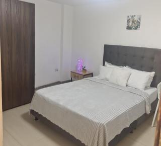 Acogedor y cómodo apartamento 202 - Bogotá - 7