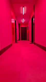Apartament BDSM Lalka Miłości - 8