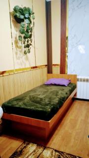 2 ком кв Соборная-Макарова-МАКДОНАЛЬДС 3 кровати Wi-Fi 1этаж отдельный вход - 5