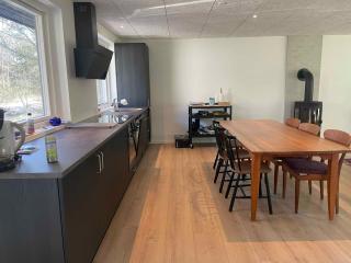 Holiday Home In 1St Row By The Limfjord - Thyholm - 6