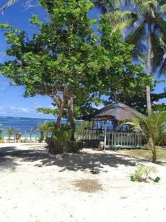 Allegria Beachfront Resort - Alegria - 0