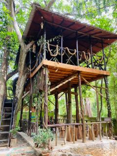 Green Park and Eco Tree House - 0