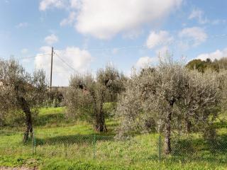 Apartment in Monte del Lago near Lake Trasimeno - 4