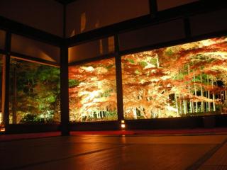 2-8-9 Jusohommachi - House / Vacation STAY 1677 - Osaka - 6