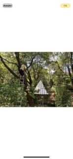 La Maison de Joy dans le Parc des Elfes - 2