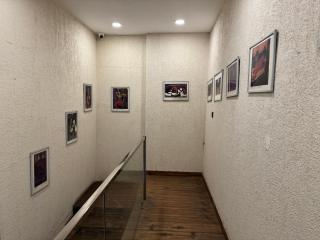 Torque Stays - Noida - 3