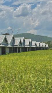 Phounsouk Resort - Luang Prabang - 6