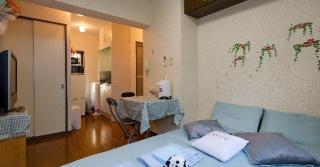 Cosmo Mercy N-1 / Vacation STAY 12990 - Tokyo - 6